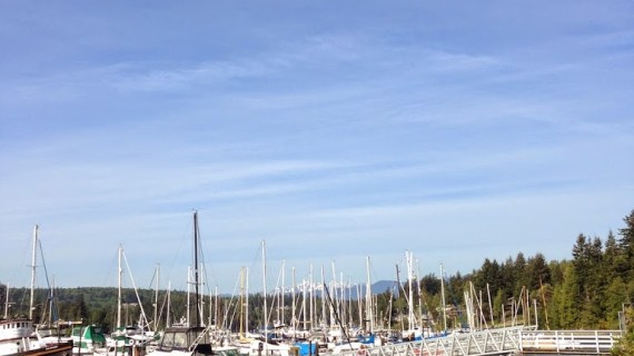 Marina, Boats, Harbor, Active Lifestyle