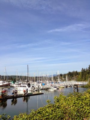 Marina, Boats, Harbor, Active Lifestyle