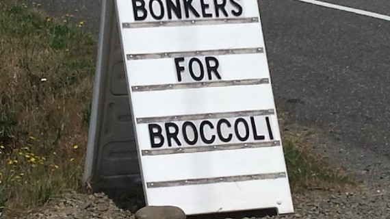 Broccoli, Sign, Farm Tour, Olympic Peninsula