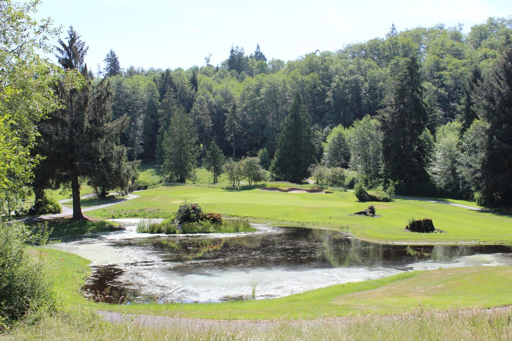 Pond, Nature, Golf, Golf Course