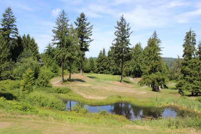Pond, Golf, Golf Course, Active Lifestyle