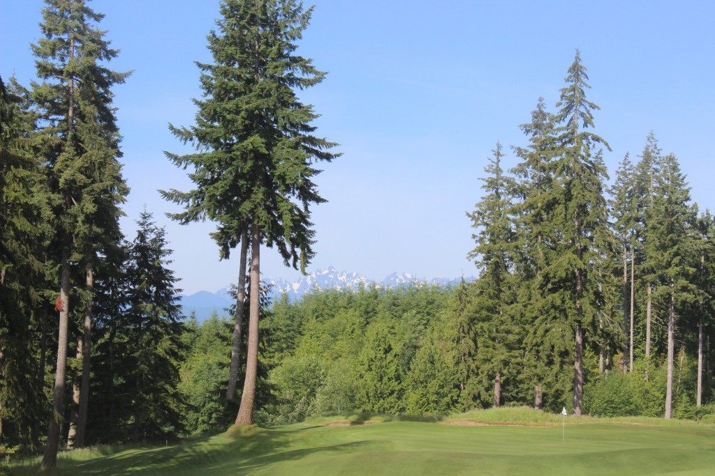 Mountains, Trees, Golf Course, Olympic Peninsula