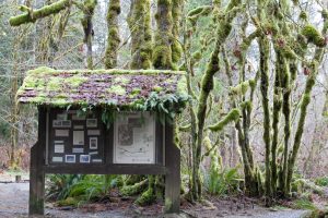 Kiosk from Olympic National Forest