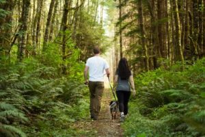 Couple hiking on trail with dog